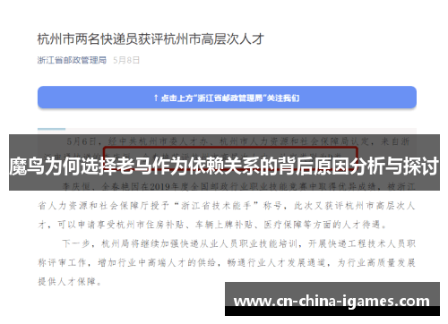 魔鸟为何选择老马作为依赖关系的背后原因分析与探讨